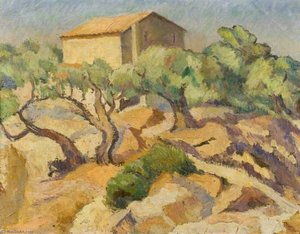 Olive Tree