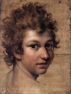 Haupt Eines Jünglings — Lavinia Fontana