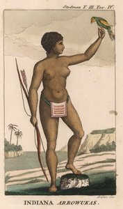 Arowak Woman — John Gabriel Stedman