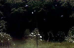 Early Summer, 1975 (diptych) — Adrian Henri
