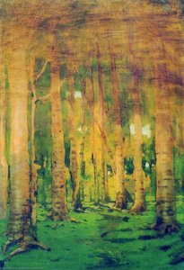 A Birch Grove. Spots of sunlight