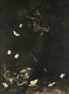 Serpents and Insects