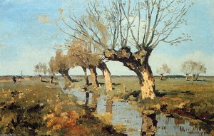 Pollard Willow At The Side Of The Broo — Cornelis Vreedenburgh