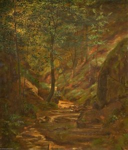 Woodland Scene