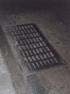 Rat, Disappearing — Wolfgang Tillmans