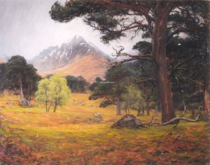 Cramcach Wood