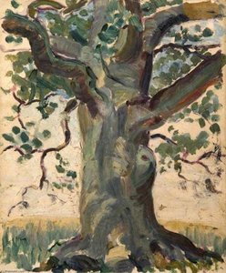 Study Of A Tree — Elizabeth Muntz