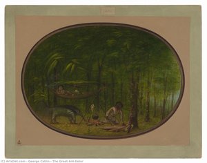 The Great Ant-eater — George Catlin