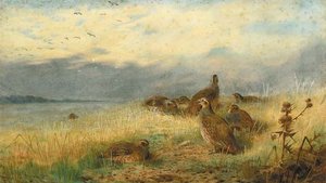 A Covey Of Partridge In The Stubble, With Lapwings Flying Overhead — Archibald Thorburn