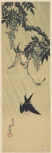 Swallows And Wisteria — Katsushika Hokusai