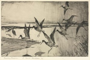 Greater Yellowlegs — Frank Weston Benson