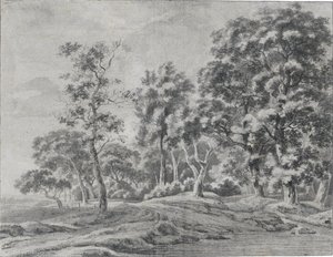 A View Of A Forest With A Path Next To A Stream — Jacob Esselens