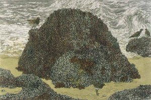 Tidal Rocks — Janet E Turner