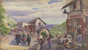 'the Bazaar Musoori, 8th May 1878' — Marianne North, Victorian Botanical