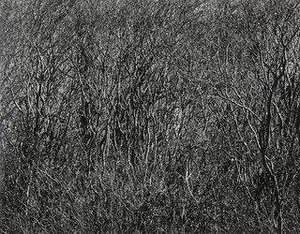 Rhode Island — Harry Callahan