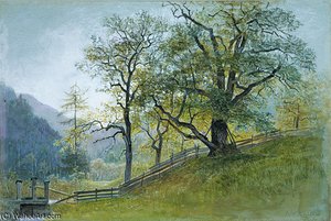 Vahm In Tyrol Near Brixen — William Stanley Haseltine