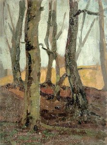 Wooded Scene Of Trees — Gunning King