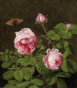 Still Life with Roses