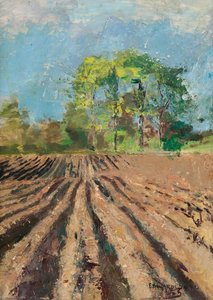 Plough Field