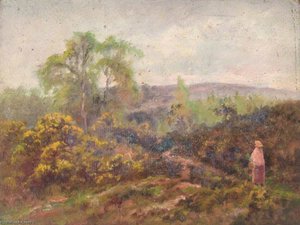 Addington Hills, Croydon, Surrey, 11 May 1892 — William Henry Hope