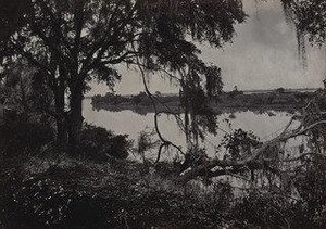 Savannah River, near the City from the album Photographic Views of Sherman's Campaign
