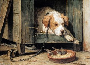 Les Parasites Sun — Henriette Ronner Knip