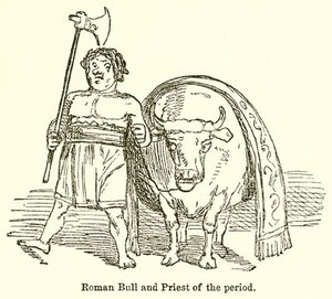 Roman Bull And Priest Of The Period — John Leech