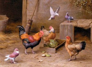 Chickens In A Farmyard — Edgar Hunt