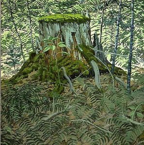 Stump And Ferns — Neil Gavin Welliver