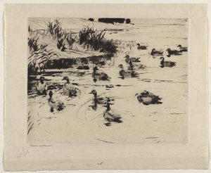 Ducks At Play — Frank Weston Benson