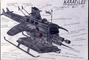 KARAFILEE (14)