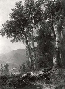Woodland Landscape, (painting) — Asher Brown Durand