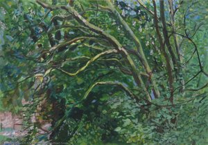 Hampstead Green — Alla Rubitel