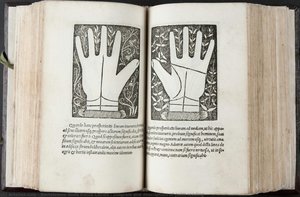 Diagram and description of palm reading