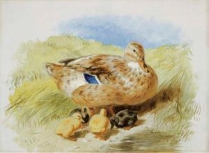 Duck And Ducklings — John Frederick Herring Senior