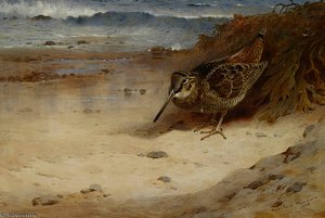 Hungry And Homeless — Archibald Thorburn