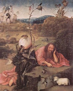St. John The Baptist In Meditation — Hieronymus Bosch