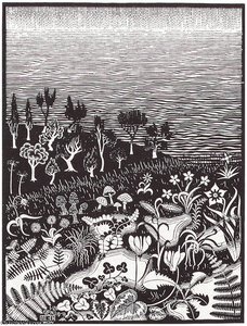 Third Day Of The Creation — Maurits Cornelis Escher