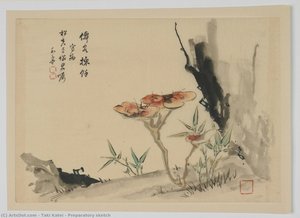 Preparatory Sketch — Taki Katei