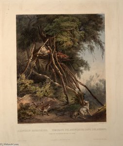 Tombs Of Assiniboin Indians On Trees — Karl Bodmer