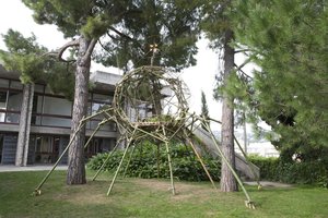 Herbe À Poux — Jean-sébastien Tascher