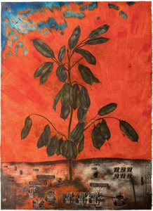 Morning, Ficus, Swallows (colour Insert From Abracadabra) — Pavlo Makov
