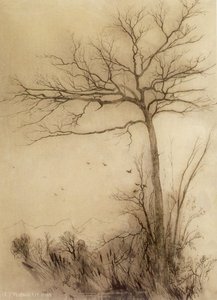 Birds Fly South-conway — Aaron Draper Shattuck, Hudson River School