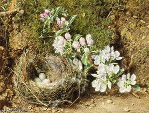 Branch Of Apple Blossom And Bird's Nest — William Henry Hunt