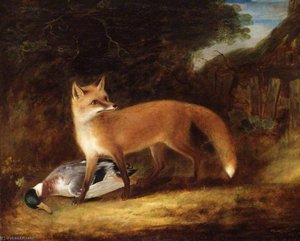 Fox and Duck