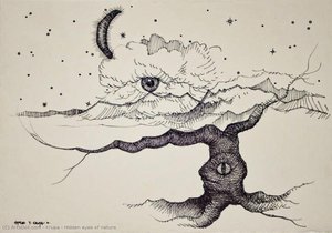 Hidden Eyes Of Nature — Alfred Freddy Krupa