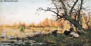 Bufali Nella Palude — Pietro Barucci