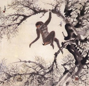 Monkey