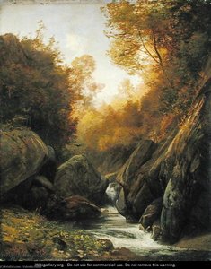 Woodland Spring