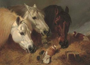 Horses Feeding With Two Ornamental Pigeons At A Manger — John Frederick Herring Senior